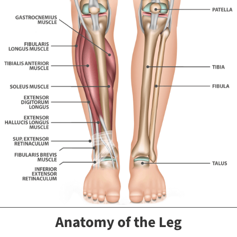 What Are Shin Splints?  Florida Orthopaedic Institute