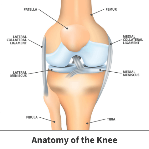 Trochanteric Hip Bursitis  Spine & Orthopedic Center