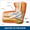 Elbow Bursitis Information | Florida Orthopaedic Institute