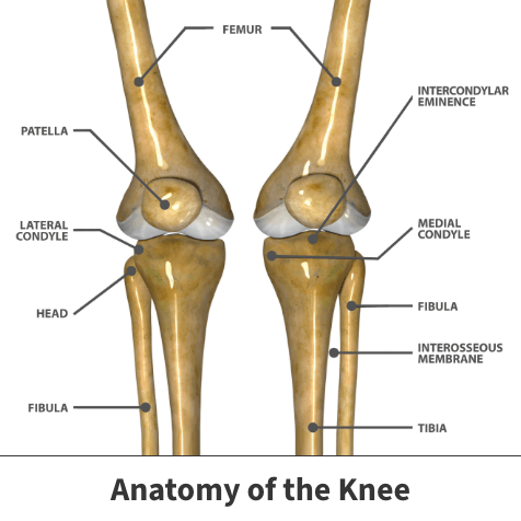 Arthroscopic Chondroplasty