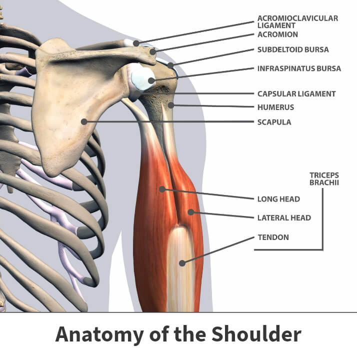 Dislocated Shoulder