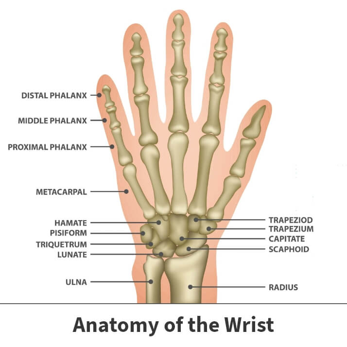 colles’ fractures