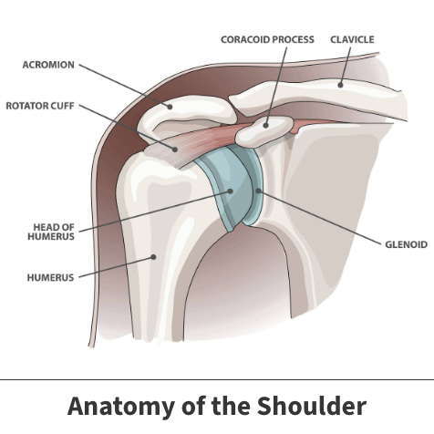 Glenoid Labrum Tear