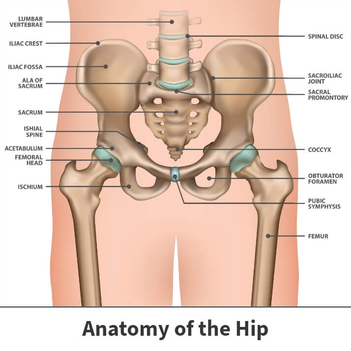 Total Hip Replacement - Anterior Approach