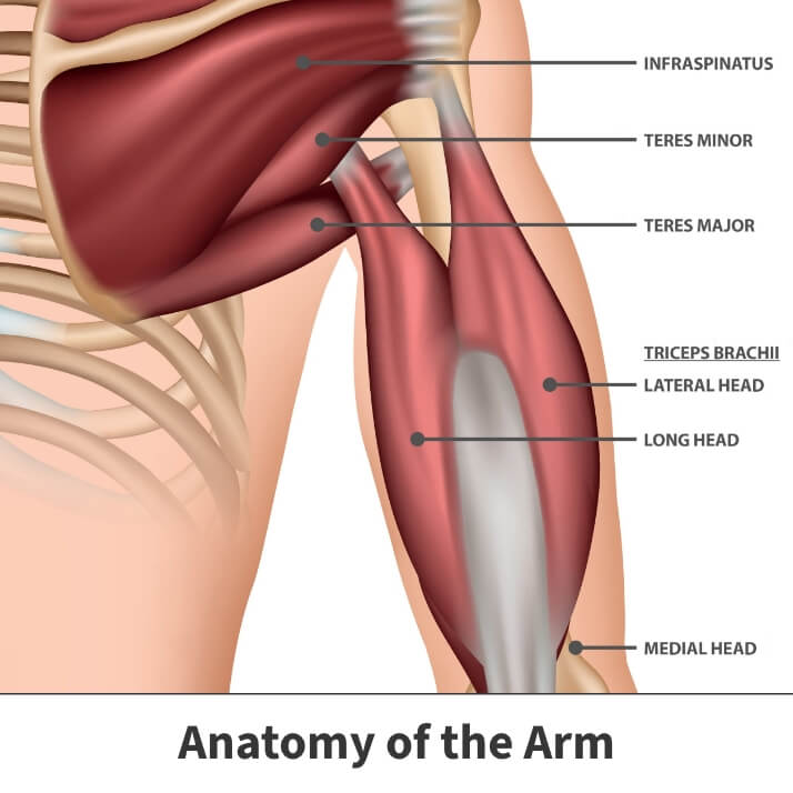 Tricep Pain