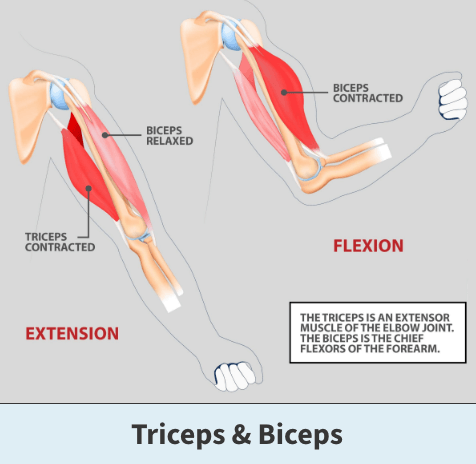 TRICEPS TENDONITIS