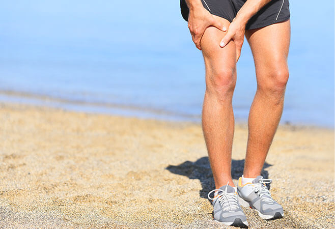 Upper Leg Muscles And Tendons - Plantaris Tendon The ...