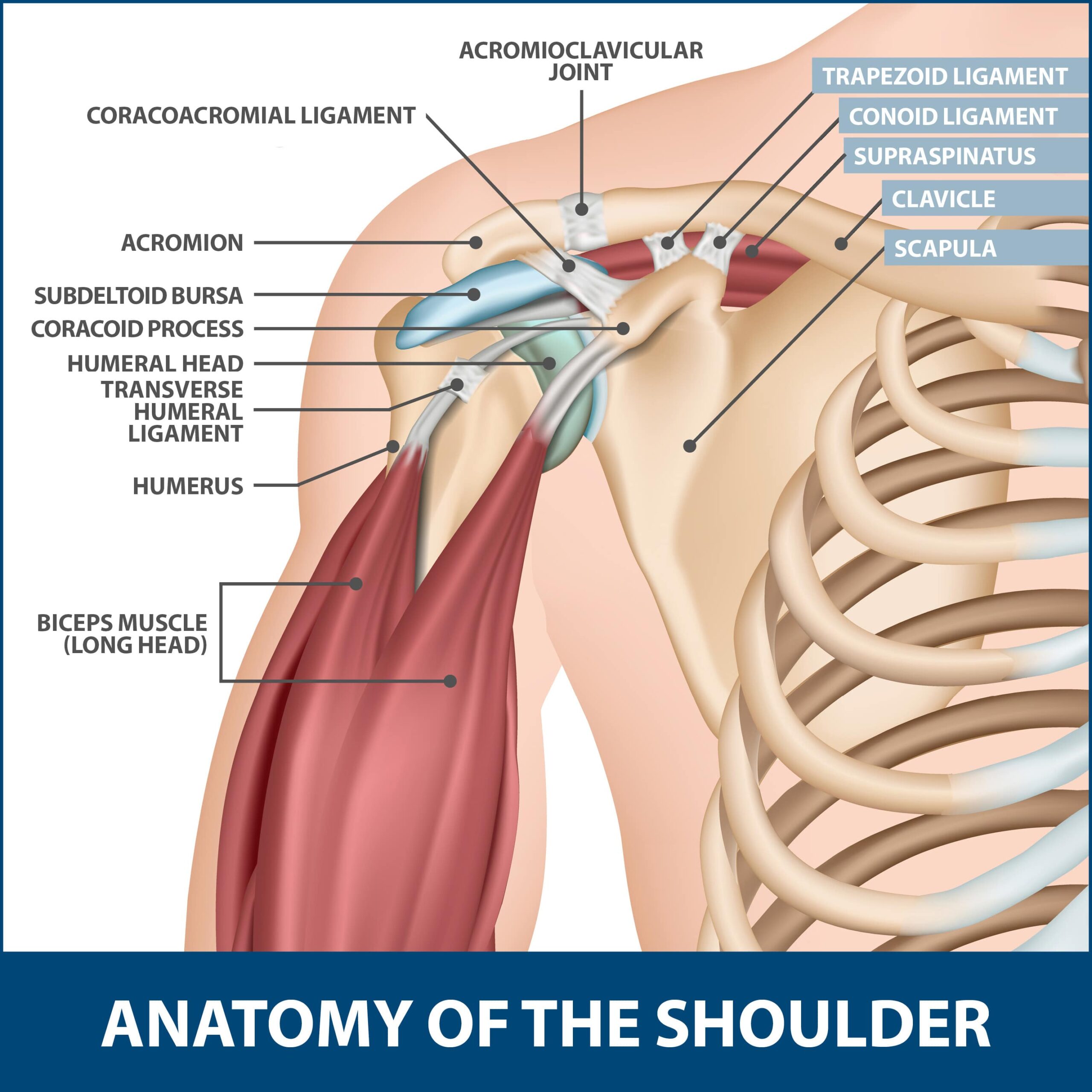 shoulder separation treatment