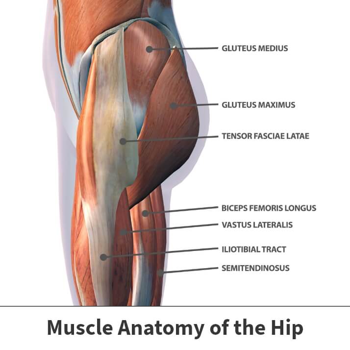 Thigh hip разница