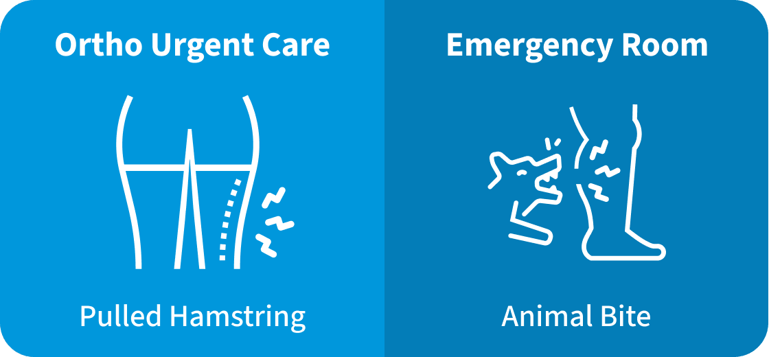 Pulled Hamstring Go To Ortho Urgent Care / Animal Bite Go To ER
